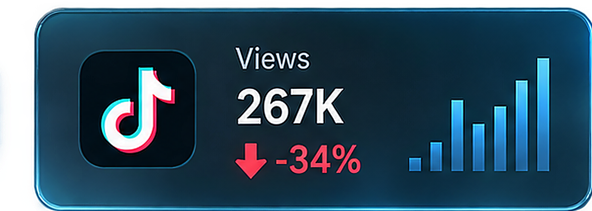 TikTok views metric